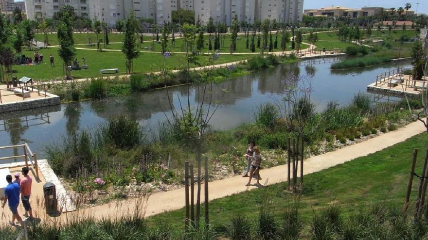 La Marjal de Alicante: la ‘esponja’ natural que puede absorber tanta agua como 18 piscinas olímpicas
