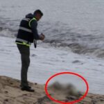 Aparecen restos humanos en descomposición en una playa de Mallorca
