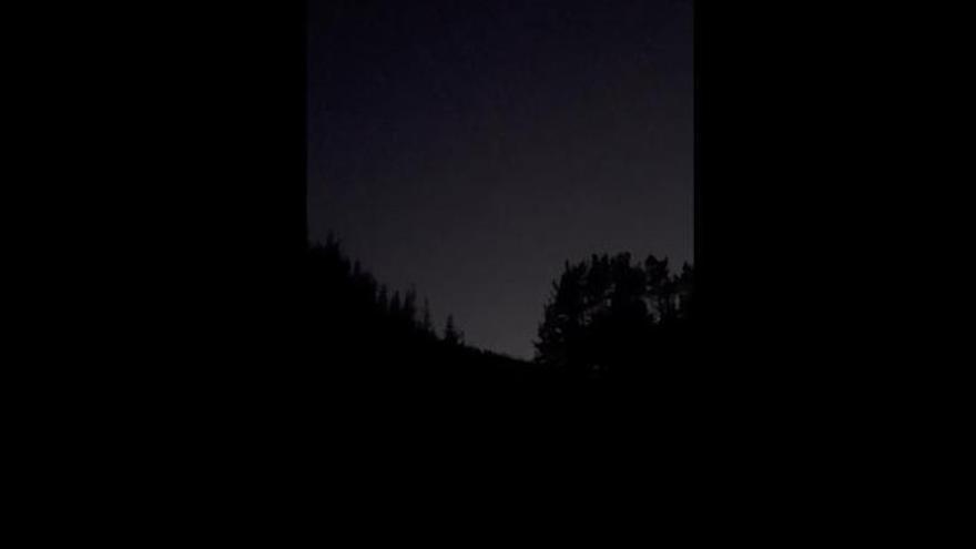 VÍDEO: Así suena el aullido de un lobo grabado en Occidente