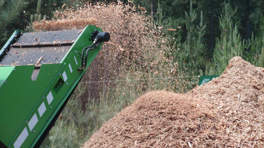 Biomasa forestal: la energía sostenible de nuestros bosques