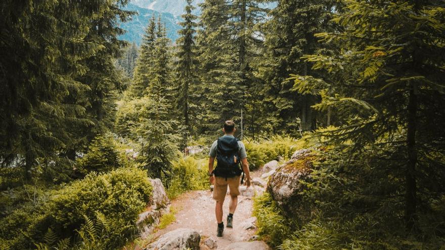 Un estudio demuestra que los paisajes naturales alivian el dolor físico más allá del efecto placebo