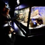 Inauguración de la exposición “Veneno” en el Bioparc Acuario de Gijón