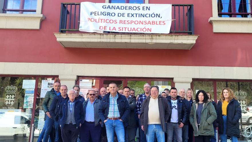 Asturias anuncia las primeras batidas de lobos tras aprobar el Congreso su desprotección
