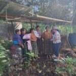Llangréu empodera a les muyeres indíxenes en Guatemala