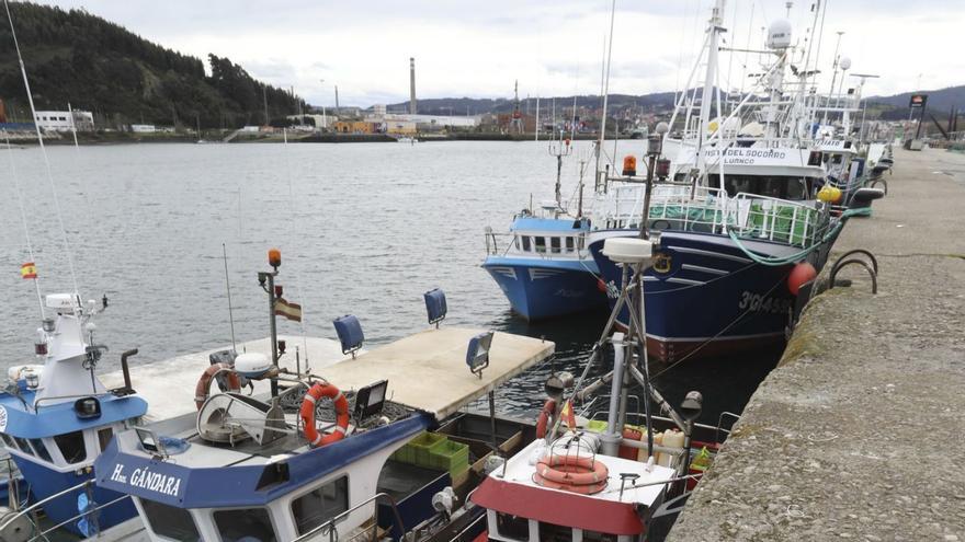 La flota asturiana adelgaza: estos son los barcos que se han perdido en Asturias en el último año