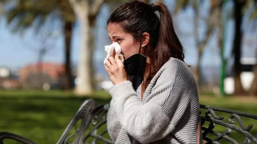 Si eres alérgico al polen, prepárate: así será la primavera por culpa de las intensas lluvias