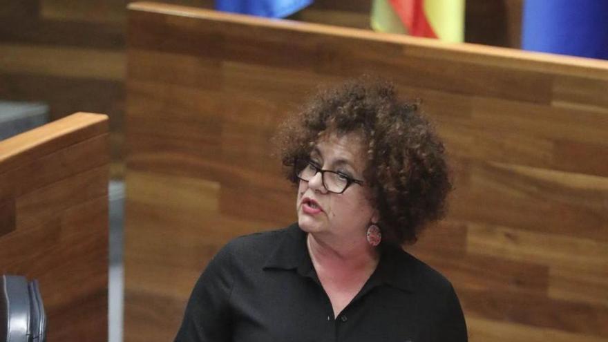 La consejera Del Arco esquiva la reprobación planteada por el PP gracias al respaldo de Covadonga Tomé