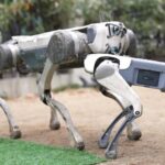 La industria multimillonaria de los perros robóticos chinos