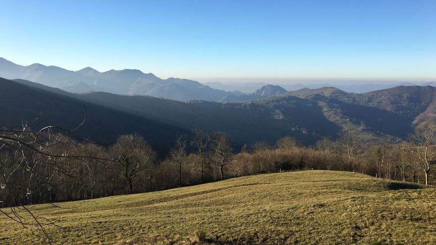 Grupo Siero protege el medio natural con una gestión sostenible de los bosques