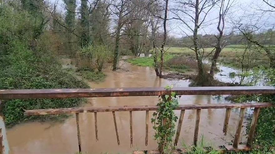 VÍDEO: El río Nora en alerta por riesgo de desbordamiento en Siero debido a las fuertes lluvias