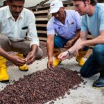 Paccari, el cacao ecuatoriano que ha seducido al Museo del Prado