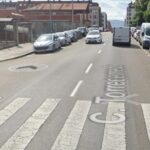Tragedia en Nuevo Gijón: un conductor atropella mortalmente a un perro