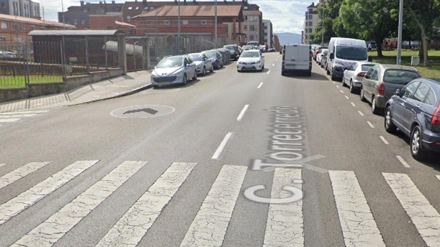 Tragedia en Nuevo Gijón: un conductor atropella mortalmente a un perro