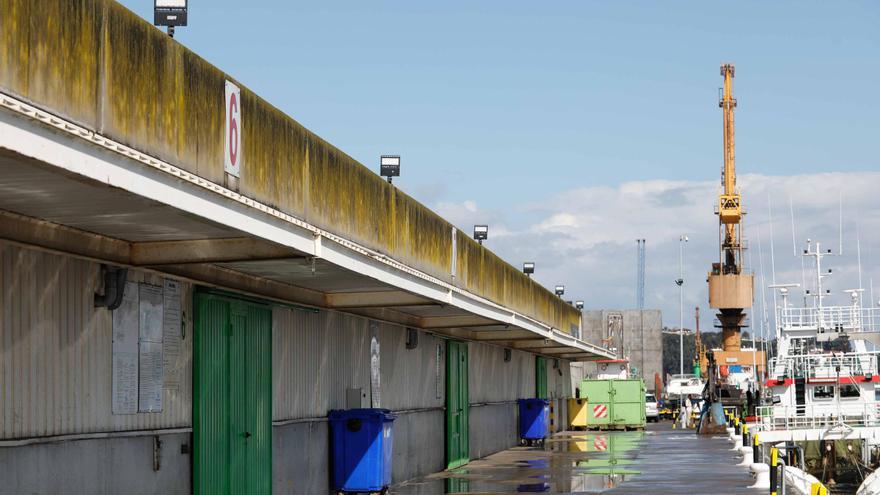 La rula de Avilés remonta: las ventas de 2024 pasan de los 37 millones y te contamos por qué