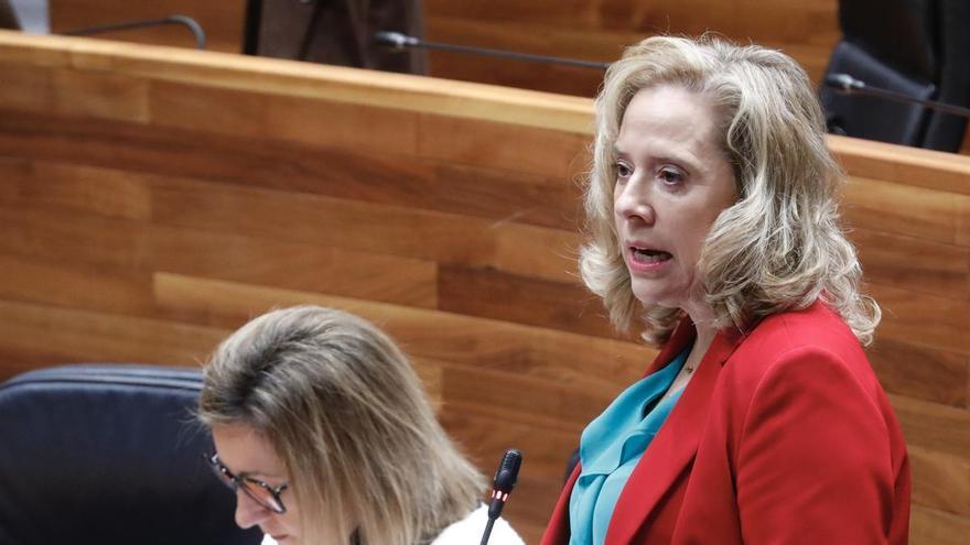 Existen promotores de parques de baterías en Asturias con «intereses menos claros», reconoce el Principado