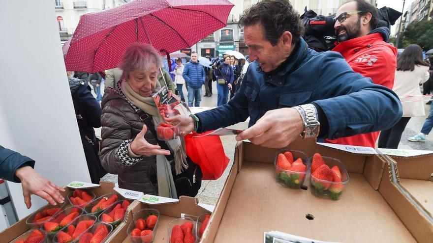Los agricultores reparten más de 2.000 tarrinas de fresas de Huelva para demostrar que son «sanas, seguras y sostenibles»