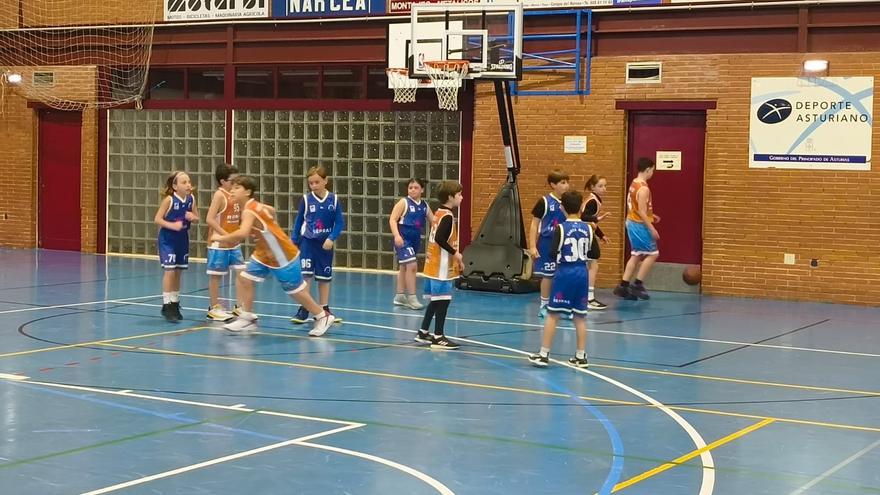 Dos victorias para los benjamines del club de baloncesto Cangas del Narcea: “Nos permiten seguir luchando por el campeonato”
