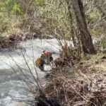 Localizan un cuerpo en una de las zonas del río Genal donde se buscaba al motorista desaparecido