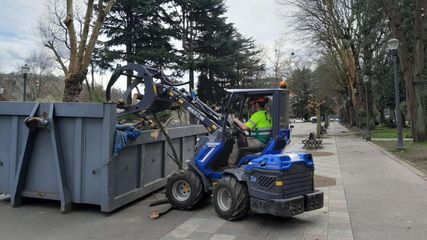 Talas y podas de grandes árboles para mejorar la seguridad de los parques centenarios de Langreo