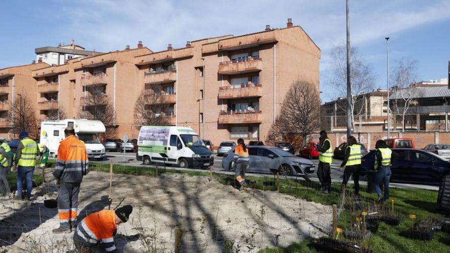 Más minobosques para la zona oeste