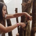 El cultivo de setas shiitake, paso a paso a Grado: «Hay que tener paciencia, cuidar y dejar incubar»