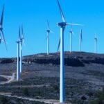 Los parques eólicos deberán parar al menos un año un aerogenerador si causa la muerte de aves