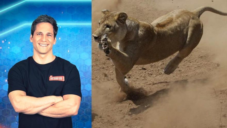 ‘El Hormiguero’ desvela el nuevo programa de Gotzon Mantuliz con su productora: se lleva a los famosos a cazar imágenes de animales salvajes