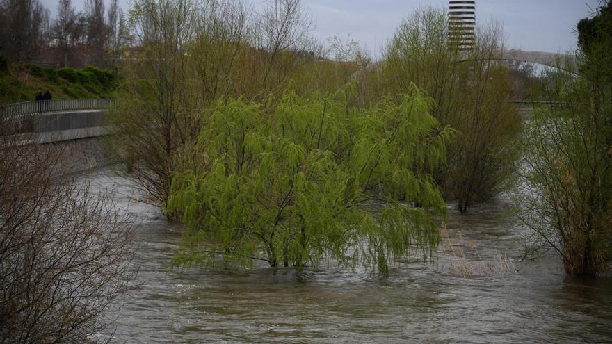 Carreteras cortadas, clases suspendidas y máxima alerta en Madrid por las lluvias