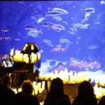 Recital de piano entre velas en el Acuario de Sigfrido Cecchini