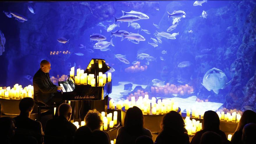 Recital de piano entre velas en el Acuario de Sigfrido Cecchini