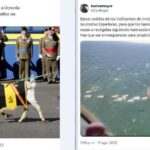 El Gobierno encarga la redacción de una estrategia nacional contra las campañas de bulos
