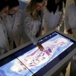 Referente en docencia, investigación y proyección internacional