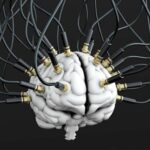 Desvelan qué hace única a la consciencia humana