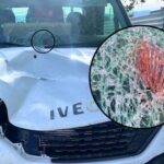 Absuelto de atropellar y matar a un camionero porque pensó que «era un jabalí»