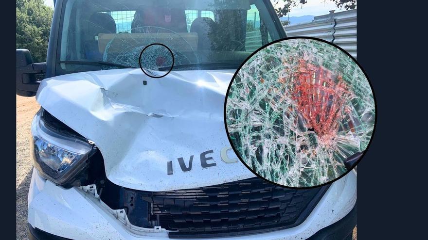 Absuelto de atropellar y matar a un camionero porque pensó que «era un jabalí»