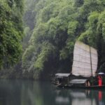 China tiene 100 árboles por habitante: drones con láser logran el mapeo más preciso hasta hoy