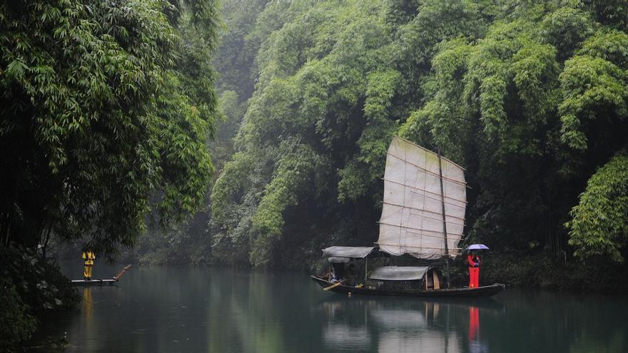 China tiene 100 árboles por habitante: drones con láser logran el mapeo más preciso hasta hoy