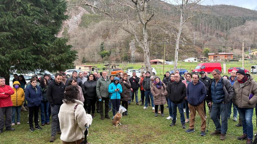La rebelión vecinal surte efecto: la promotora del parque de baterías de Parres renuncia al proyecto