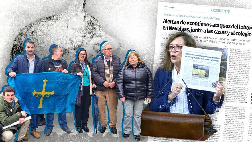 «Victoria histórica» para los ganaderos asturianos: el Congreso saca al lobo de las especies protegidas gracias a estos partidos