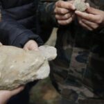 Demandan a una universidad por enviar al vertedero fósiles de hace 380 millones de años