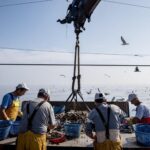 47 puertos españoles ya ‘pescan’ basura plástica para fabricar nuevos productos