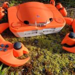 ¿PS1 ha evolucionado? Descubren una PlayStacean, la videoconsola que ha mutado en crustáceo