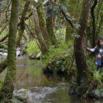 VÍDEO: Así es el Bosque de las Pontonas, la joya oculta del senderismo en Castrillón