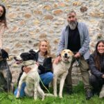 Ayuda para Grao Animals: la Asociación Veigatexe organiza una ruta solidaria para apoyar a la protectora