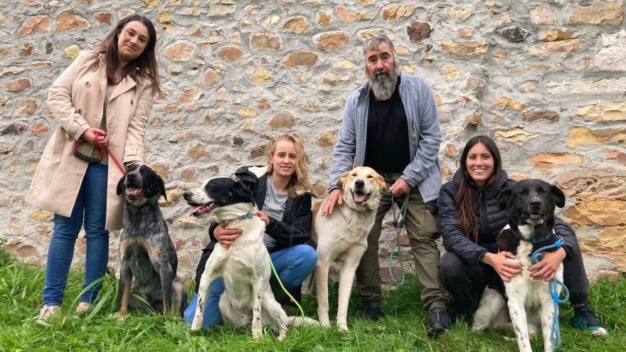 Ayuda para Grao Animals: la Asociación Veigatexe organiza una ruta solidaria para apoyar a la protectora