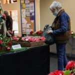 Este pueblo de la comarca de Avilés quiere robarle a Oviedo la capitalidad de las camelias