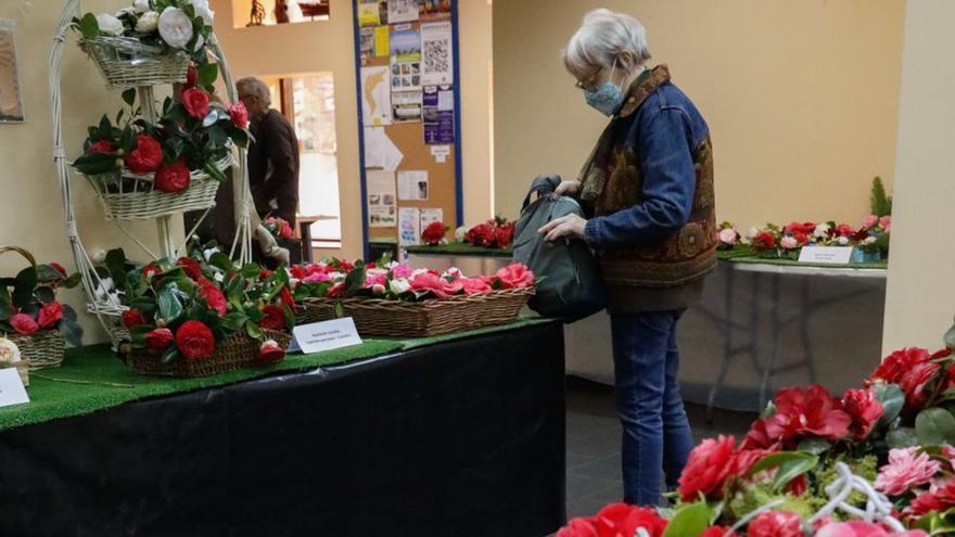 Este pueblo de la comarca de Avilés quiere robarle a Oviedo la capitalidad de las camelias