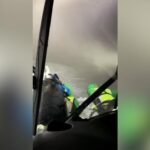 Agónico rescate a dos montañeros en Sierra Nevada y a -35 grados bajo cero