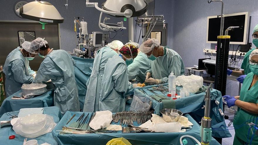 China realiza el primer trasplante de un hígado de cerdo modificado genéticamente a un humano