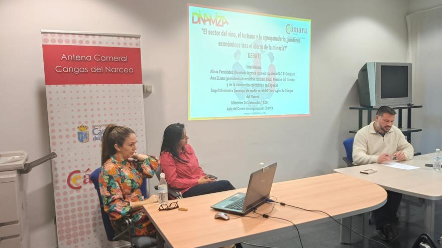 ¿Son ahora el vino, el turismo y la ganadería los motores económicos de Cangas? Los empresarios responden